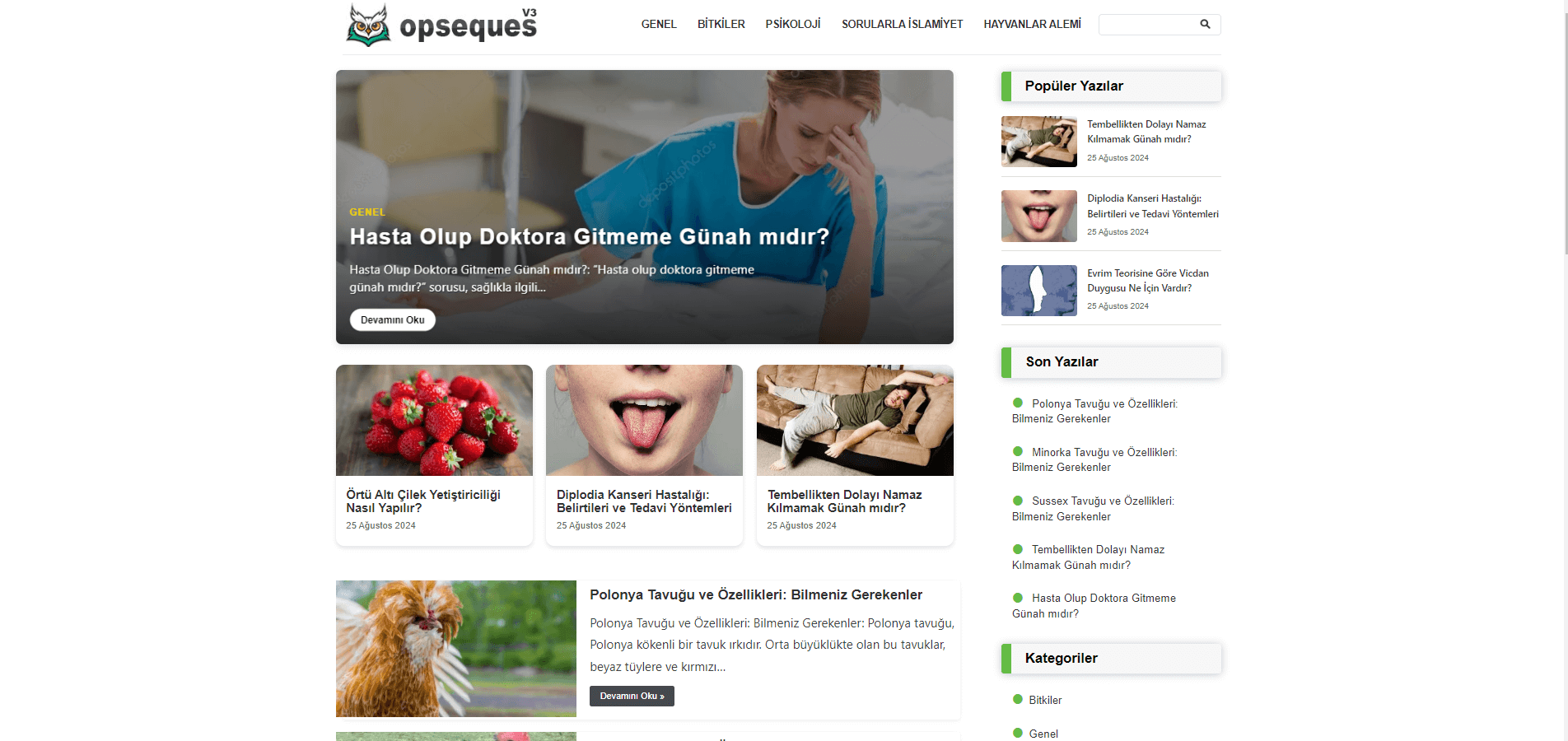 Opseques Blog Teması